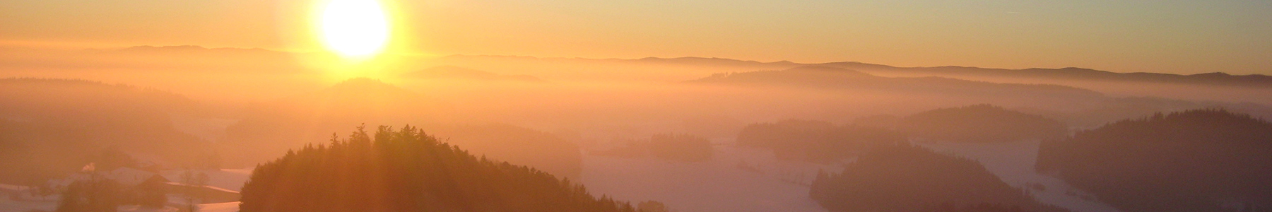 Waldviertelblick