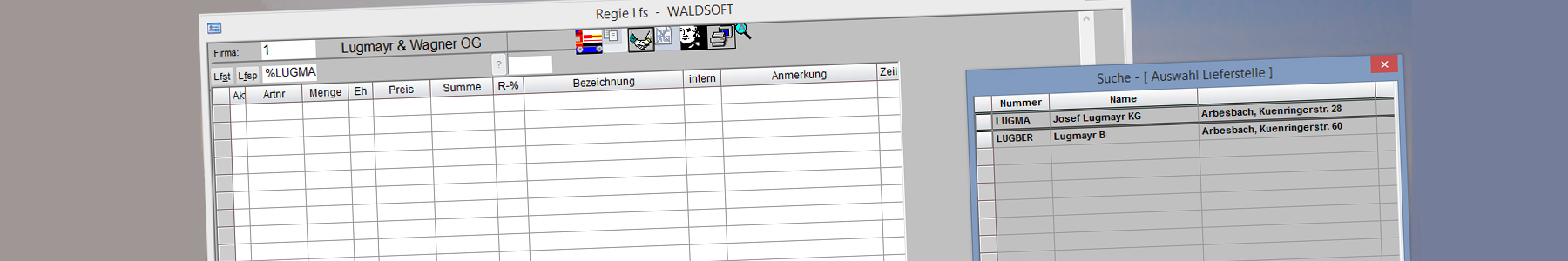 waldsoft Software Baufak