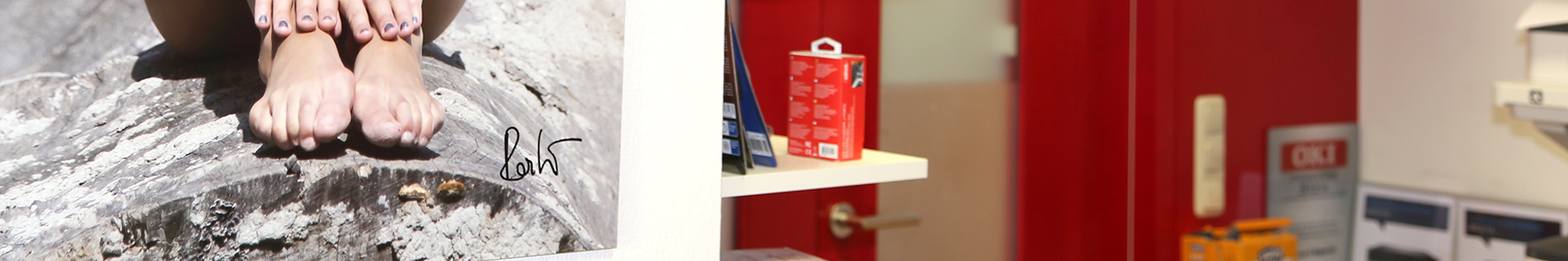 waldsoft Büro Arbesbach