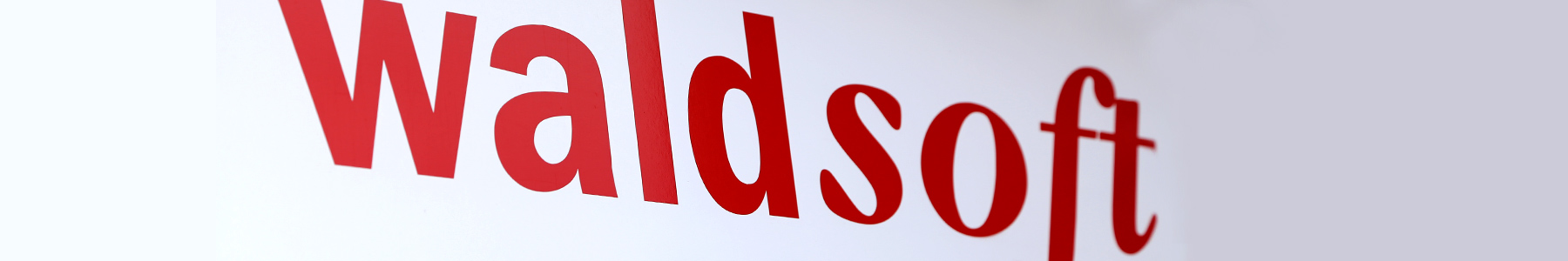 waldsoft Logo
