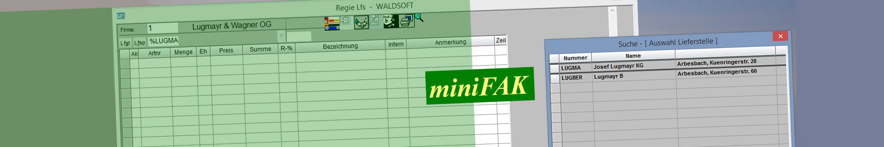 waldsoft miniFAK