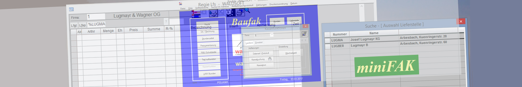 waldsoft Software Baufak und miniFAK